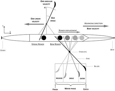 Effects of Intensive Crew Training on Individual and Collective Characteristics of Oar Movement in Rowing as a Coxless Pair